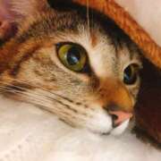 ヒメ日記 2025/12/08 13:34 投稿 あかね 栃木小山ちゃんこ