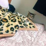 あかね 今日もいるよっ 栃木小山ちゃんこ