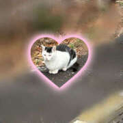 ヒメ日記 2025/12/25 14:14 投稿 あかね 栃木小山ちゃんこ