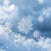 ヒメ日記 2026/01/02 17:32 投稿 あかね 栃木小山ちゃんこ