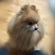 ヒメ日記 2026/01/27 18:57 投稿 あかね 栃木小山ちゃんこ