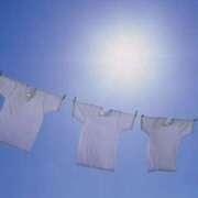 ヒメ日記 2026/01/28 10:00 投稿 あかね 栃木小山ちゃんこ