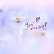 ヒメ日記 2026/02/06 07:20 投稿 あかね 栃木小山ちゃんこ