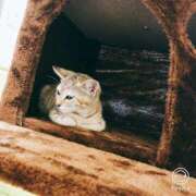 ヒメ日記 2026/02/09 22:30 投稿 あかね 栃木小山ちゃんこ