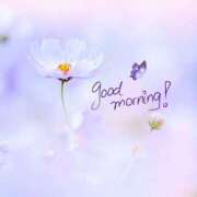 ヒメ日記 2026/02/28 11:36 投稿 あかね 栃木小山ちゃんこ