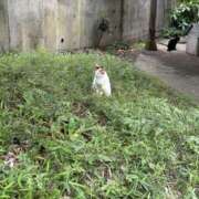 ヒメ日記 2026/07/18 17:31 投稿 あかね 栃木小山ちゃんこ