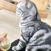 ヒメ日記 2026/07/28 21:15 投稿 あかね 栃木小山ちゃんこ