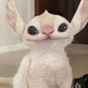 ヒメ日記 2025/06/06 21:09 投稿 おとは いきなりラブ彼女