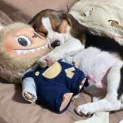 ヒメ日記 2025/06/29 12:49 投稿 おとは いきなりラブ彼女