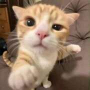 ヒメ日記 2025/07/04 23:39 投稿 おとは いきなりラブ彼女