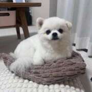 ヒメ日記 2025/10/07 18:35 投稿 おとは いきなりラブ彼女