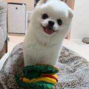 ヒメ日記 2025/10/09 21:39 投稿 おとは いきなりラブ彼女