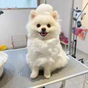 ヒメ日記 2025/11/10 22:49 投稿 おとは いきなりラブ彼女