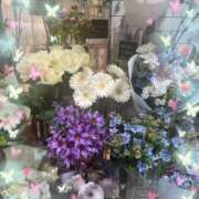 ヒメ日記 2025/02/25 17:04 投稿 花伶(かれん) 人妻城 横浜本店