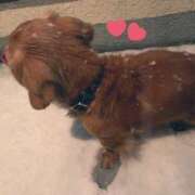 ヒメ日記 2025/02/10 01:52 投稿 のん Hip's-group越谷本店