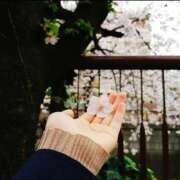 ヒメ日記 2025/04/19 01:09 投稿 林田はな Versailles