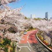 ヒメ日記 2026/03/29 00:05 投稿 林田はな Versailles