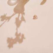 ヒメ日記 2026/03/29 23:28 投稿 林田はな Versailles