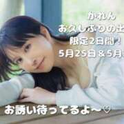 ヒメ日記 2025/05/14 18:19 投稿 花恋(かれん) チューリップ宇都宮店