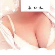 ヒメ日記 2025/03/10 23:49 投稿 あかね エマニエル