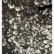 ヒメ日記 2025/04/06 21:42 投稿 あかね エマニエル