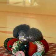 ヒメ日記 2025/07/01 12:22 投稿 あかね エマニエル