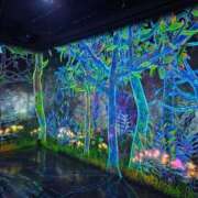 ヒメ日記 2025/07/03 06:42 投稿 あかね エマニエル