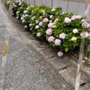 ヒメ日記 2025/06/17 09:07 投稿 みなみ 完熟ばなな 立川