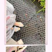 ヒメ日記 2025/07/16 10:50 投稿 みなみ 完熟ばなな 立川