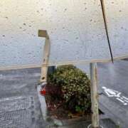 ヒメ日記 2025/09/05 09:48 投稿 みなみ 完熟ばなな 立川