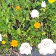 ヒメ日記 2025/09/11 03:47 投稿 みなみ 完熟ばなな 立川