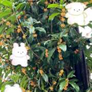 ヒメ日記 2025/10/10 10:37 投稿 みなみ 完熟ばなな 立川