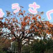 ヒメ日記 2025/11/22 17:27 投稿 みなみ 完熟ばなな 立川