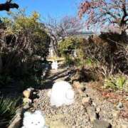 ヒメ日記 2026/01/29 14:47 投稿 みなみ 完熟ばなな 立川