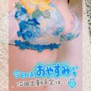 ヒメ日記 2025/05/09 11:47 投稿 さつき 出逢い