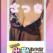 ヒメ日記 2025/05/27 17:27 投稿 さつき 出逢い