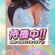 ヒメ日記 2025/06/12 17:07 投稿 さつき 出逢い