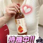 ヒメ日記 2025/06/15 14:47 投稿 さつき 出逢い