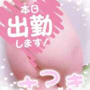 ヒメ日記 2025/07/15 10:27 投稿 さつき 出逢い