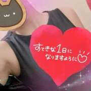 ヒメ日記 2025/08/17 09:47 投稿 さつき 出逢い