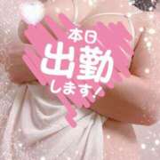 ヒメ日記 2025/08/18 09:47 投稿 さつき 出逢い