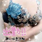 ヒメ日記 2025/10/09 12:57 投稿 さつき 出逢い