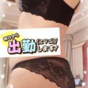 ヒメ日記 2026/03/22 11:57 投稿 さつき 出逢い