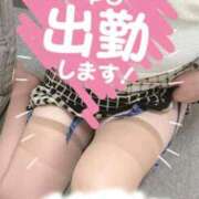 ヒメ日記 2026/06/08 10:17 投稿 さつき 出逢い