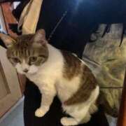 ヒメ日記 2025/04/18 14:35 投稿 もあ クラブKG