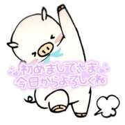 ヒメ日記 2025/03/26 02:02 投稿 あいみ 小山人妻隊