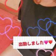 ヒメ日記 2025/03/16 09:24 投稿 馨（かおる） ビッグバード