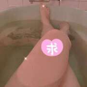 ヒメ日記 2025/05/16 13:24 投稿 馨（かおる） ビッグバード