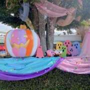 ヒメ日記 2025/10/06 08:24 投稿 馨（かおる） ビッグバード