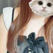 ヒメ日記 2025/02/26 12:02 投稿 あん ビアガーデンカーニバル